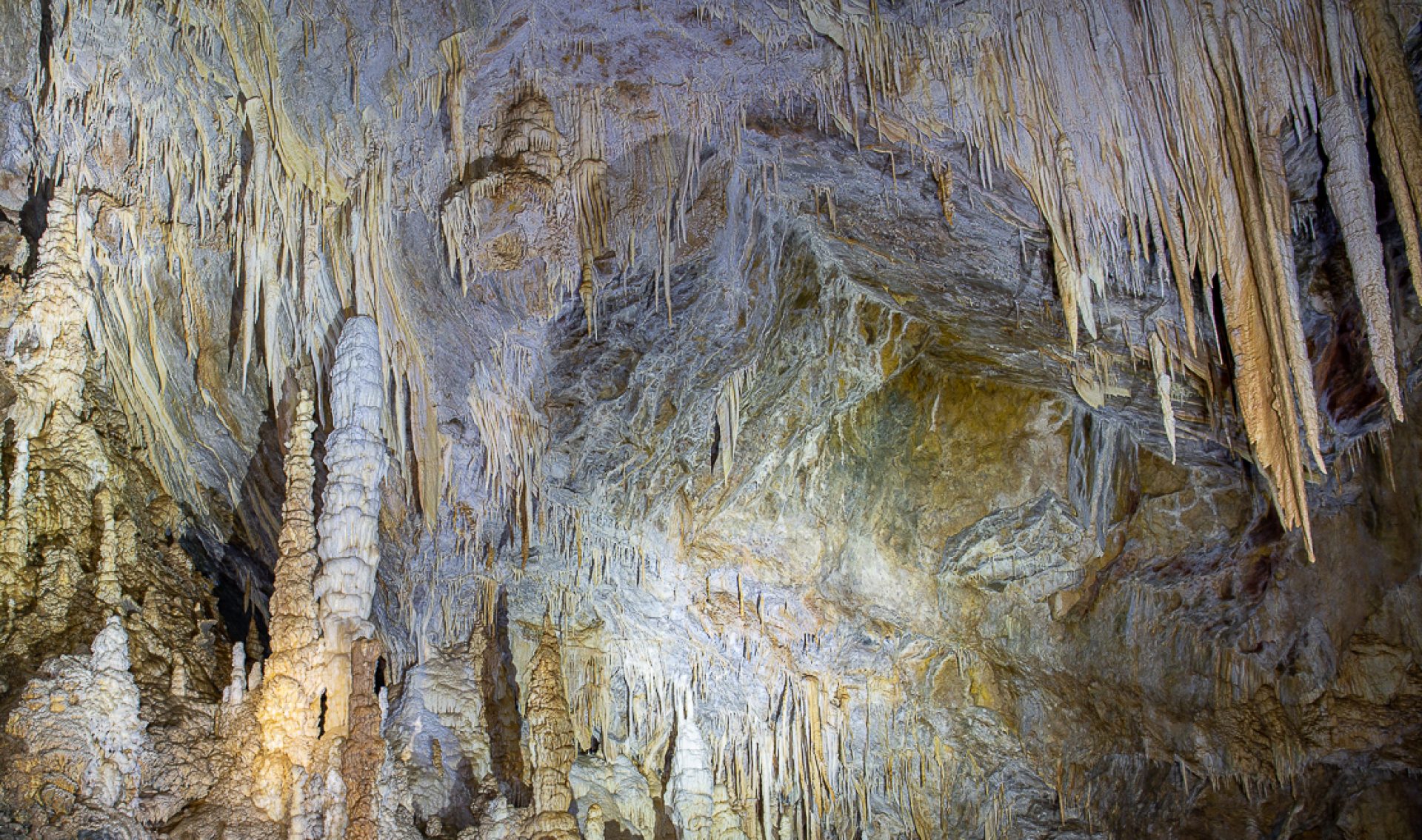 AS Focul Viu Bucuresti